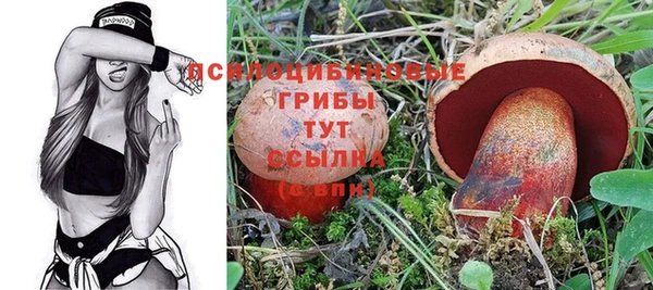 MESCALINE Аркадак